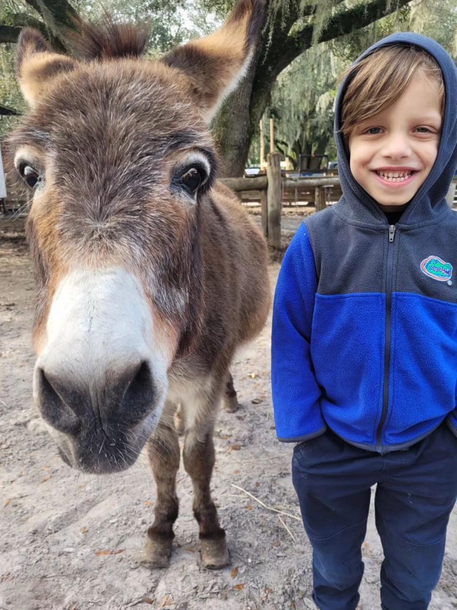 Farm animals kept on the property at The Oaks