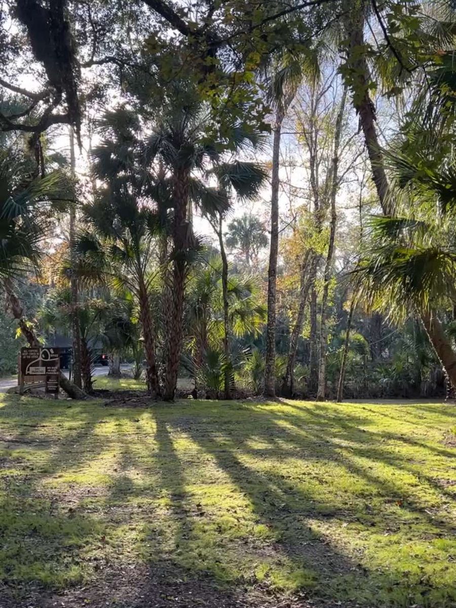 Shaded RV sites under mature trees at The Oaks
