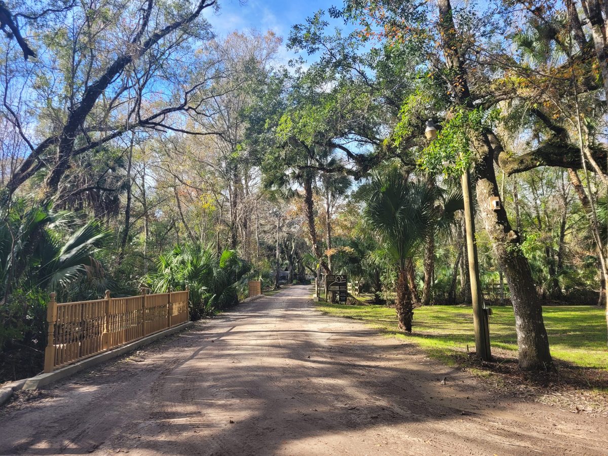 RV sites at The Oaks under mature trees
